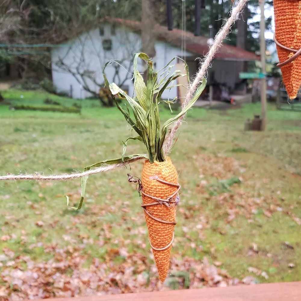 Source Unknown carrot garland